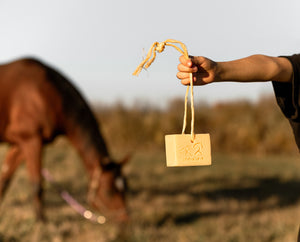 Eco-friendly Equestrian Soap