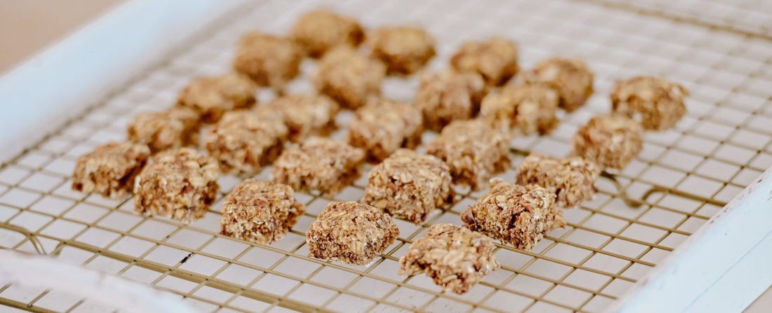Du champ à l’écurie : le parcours responsable de notre Biscuit équestre PUR