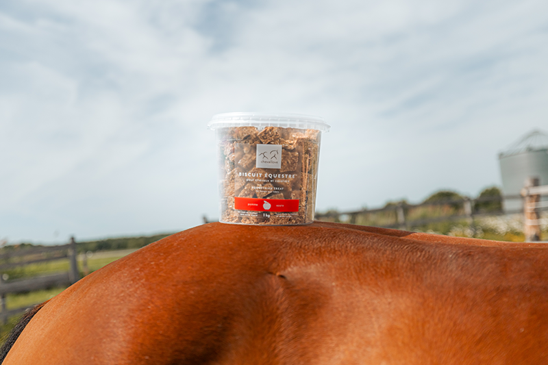 Biscuit équestre™ PUR