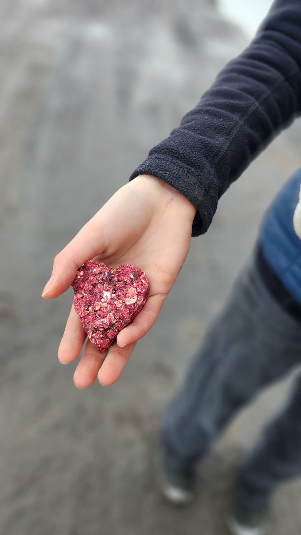 PUR Equestrian Beetroot Treat - Heart-Shaped 