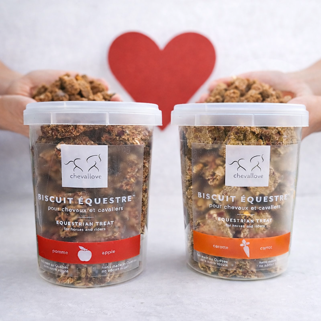 Fair trade kit 24 x 400g