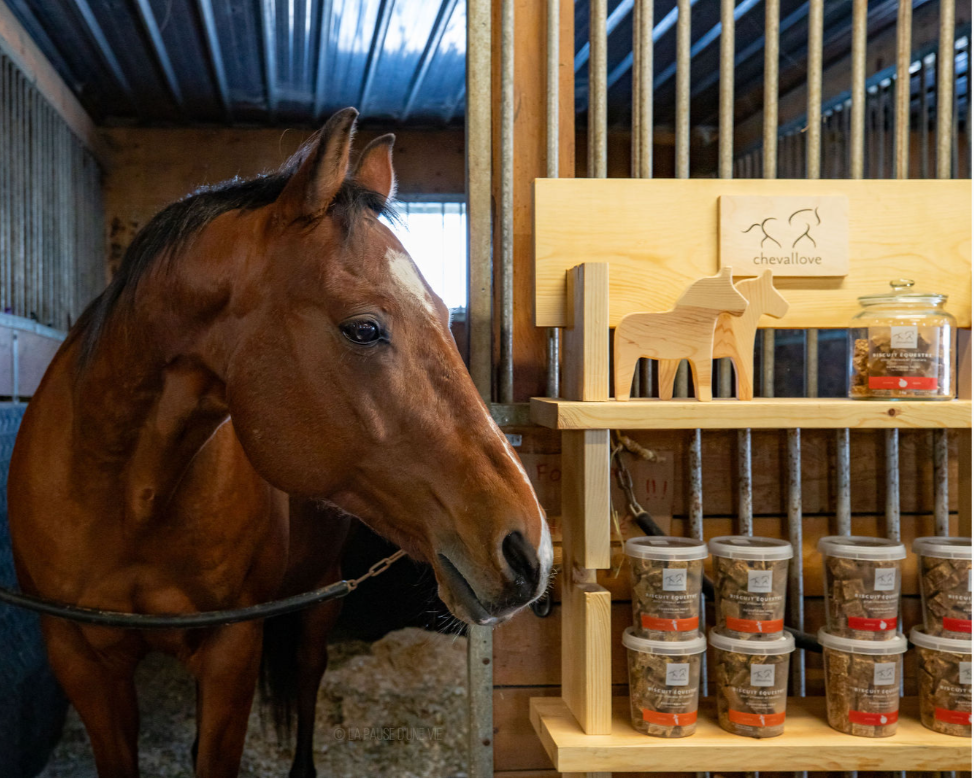 Donate a 400g bucket of Equestrian Treat to a charity!