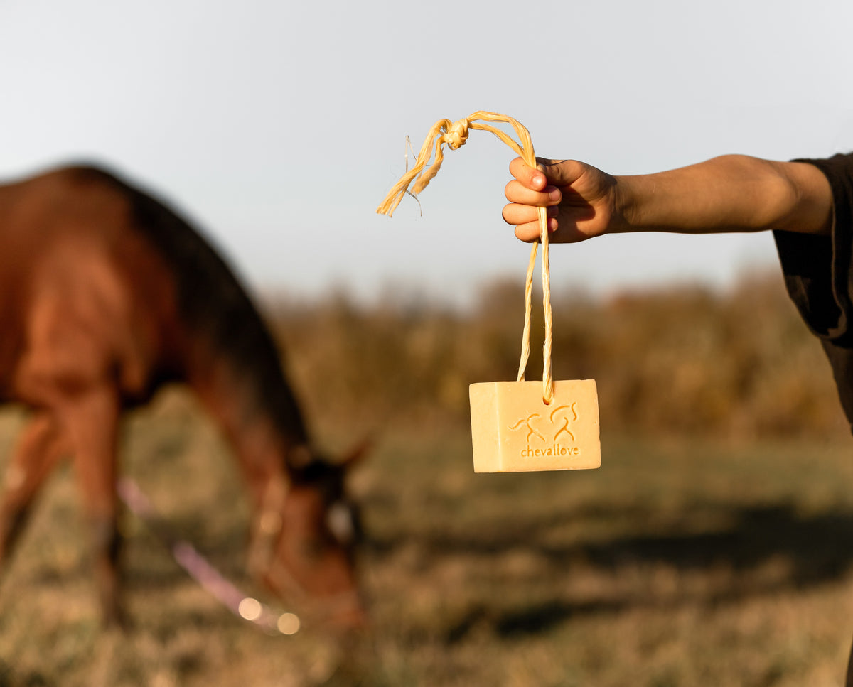 Eco-friendly Equestrian Soap 