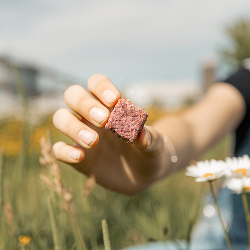 PUR Equestrian Beetroot Treat