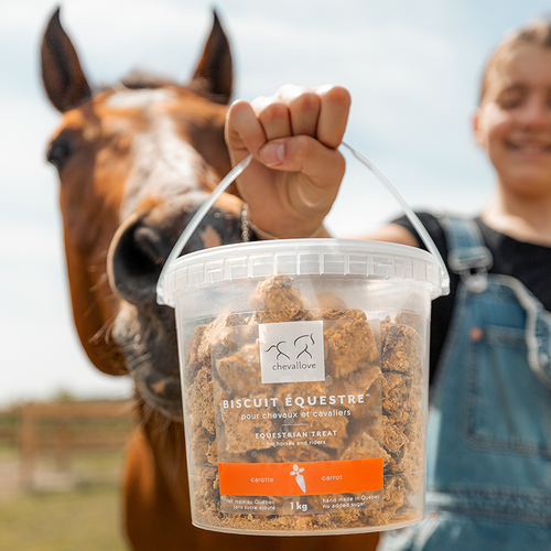 PUR Equestrian Carrot Treat