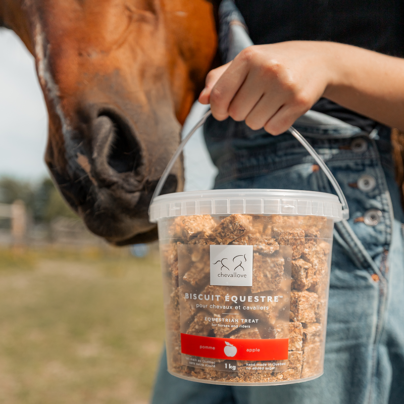 PUR Equestrian Apple Treat