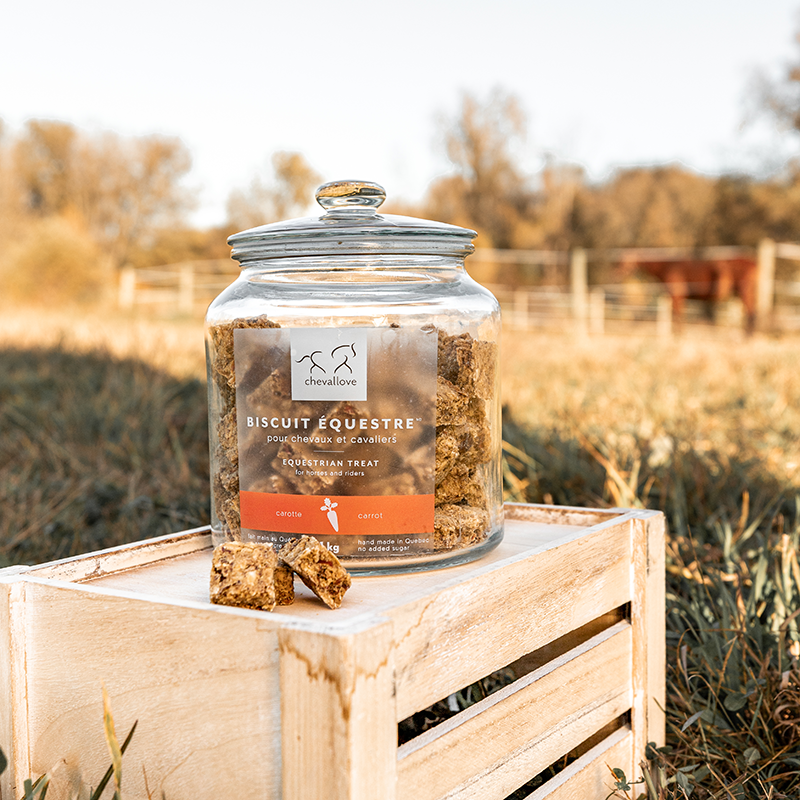 Equestrian Treat Cookie Jar 