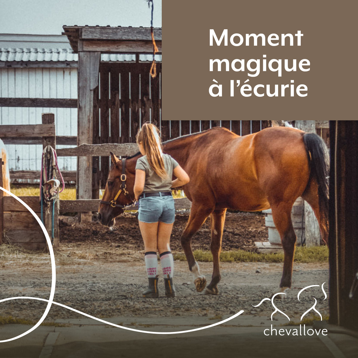 Moment magique à l&#39;écurie