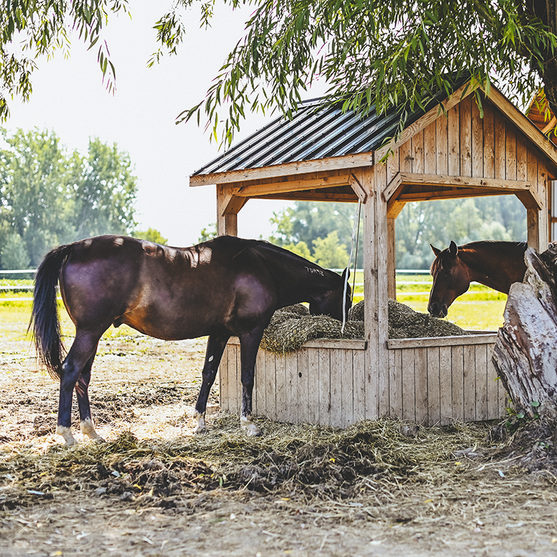 The Chevallove Moments - Corporate Service