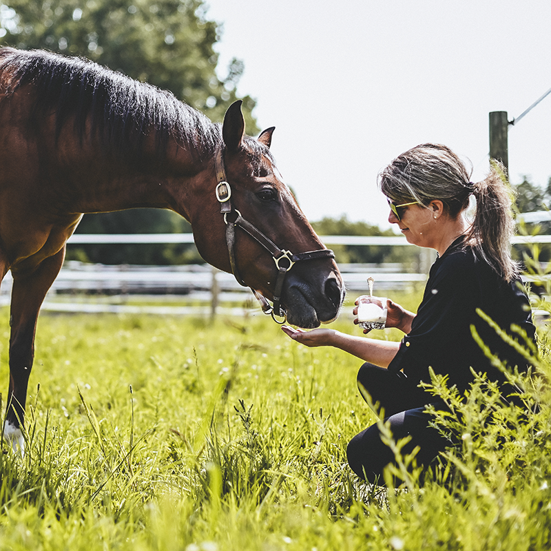 The Chevallove Break